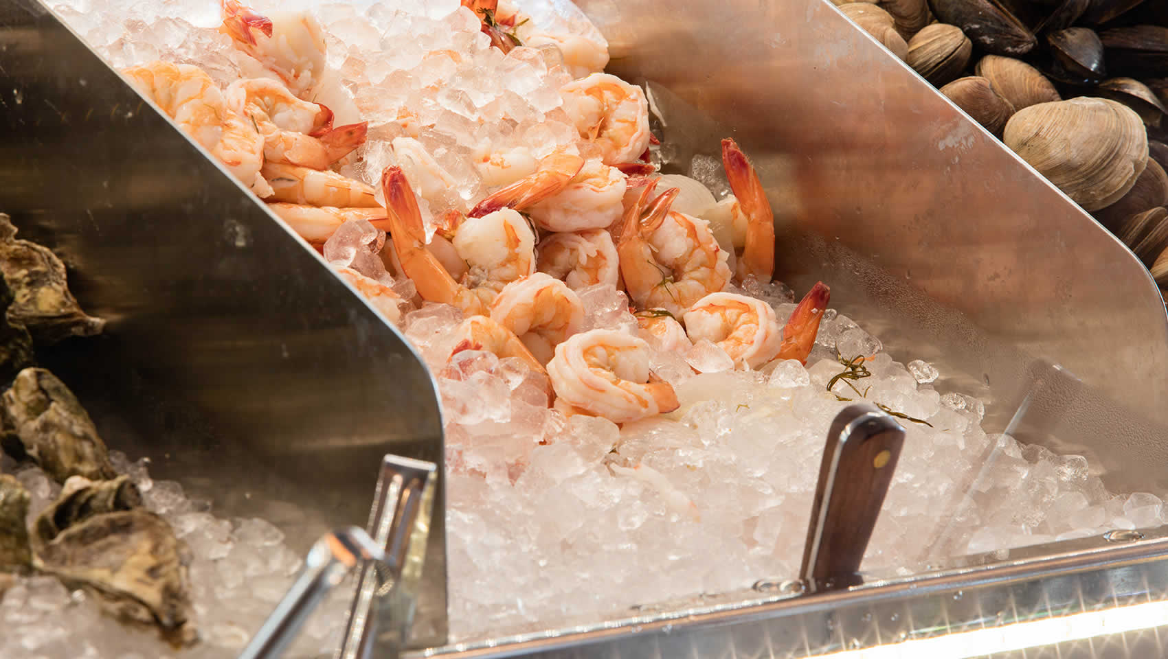 fresh shrimp