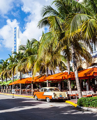 palm trees and vintage car